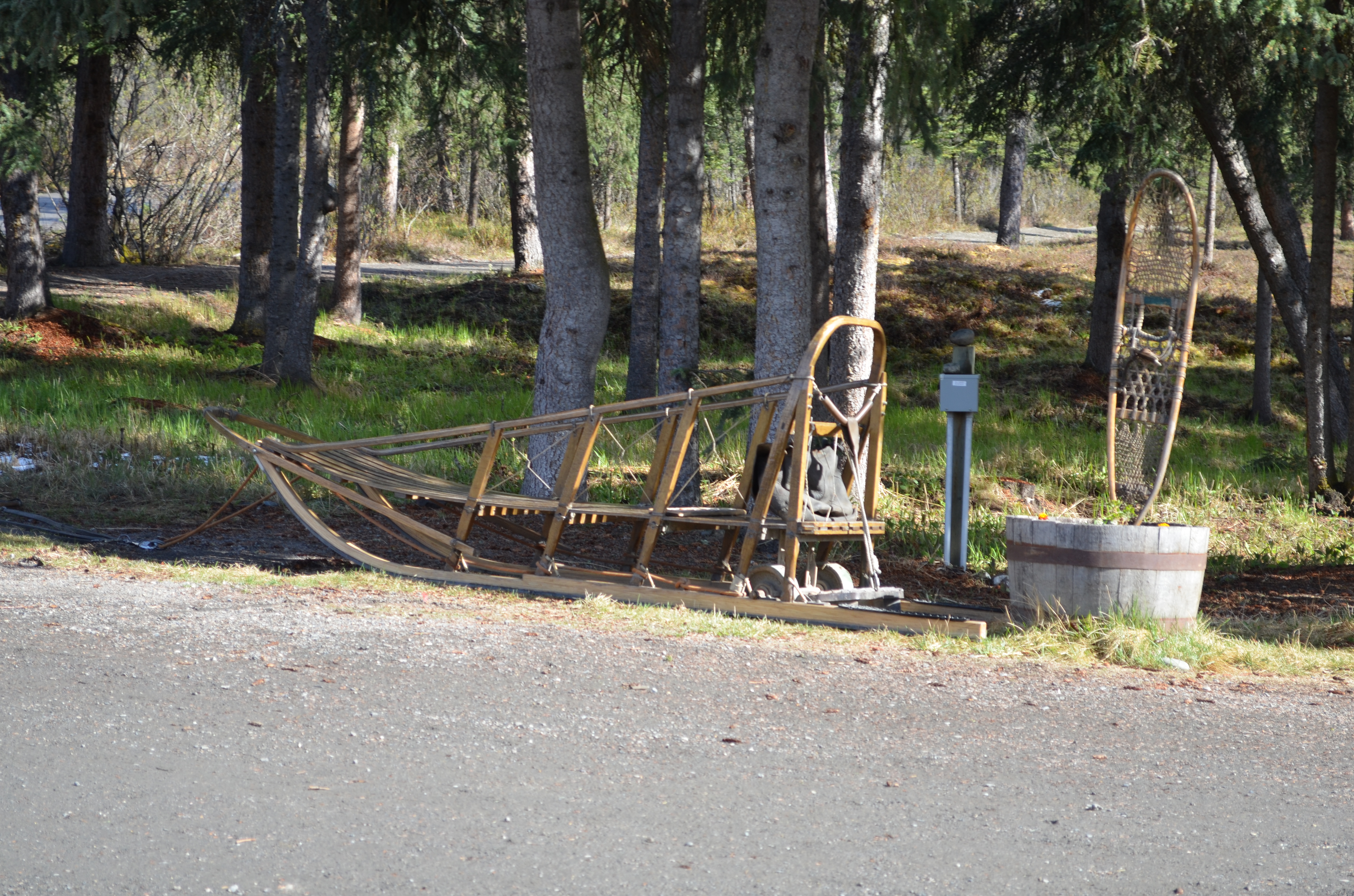 ./2017/08 - Alaska Cruise/03 - Denali/DSC_0272.JPG